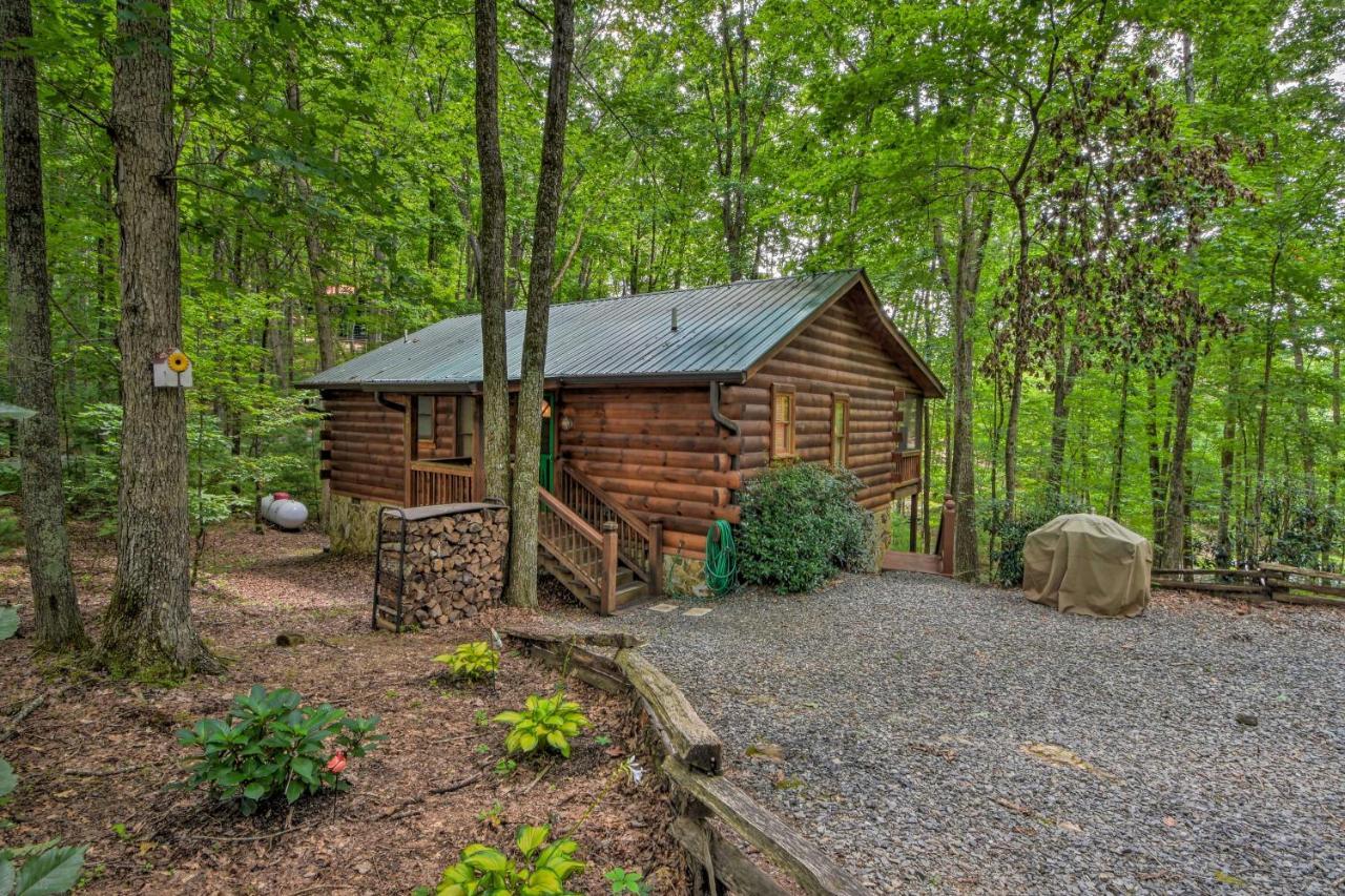 Pinot And Pine Chic Log Cabin About 5 Mi To Blue Ridge Eksteriør billede